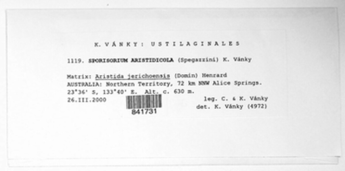 Langdonia aristidicola image